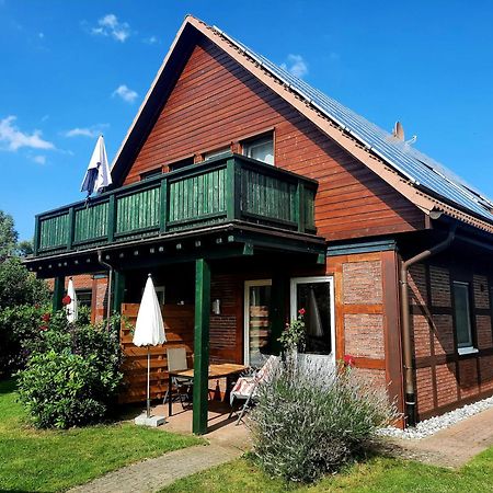 Ferienhaus Sasse Ferienwohnungen Mit Garten & Grill Molschow Экстерьер фото