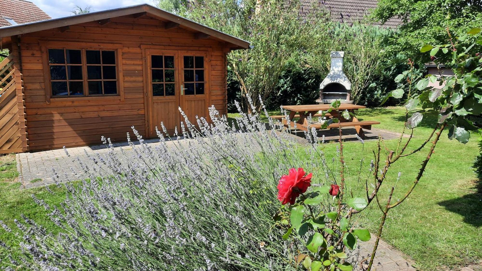 Ferienhaus Sasse Ferienwohnungen Mit Garten & Grill Molschow Экстерьер фото